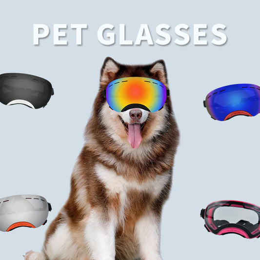 Shielded Pet Wind-Resistant Eyewear