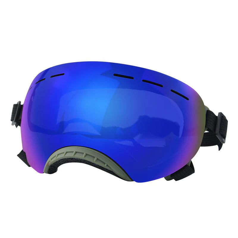 Shielded Pet Wind-Resistant Eyewear