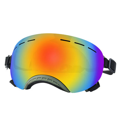 Shielded Pet Wind-Resistant Eyewear