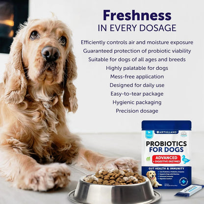 Probiotic Powder for Dogs Support Gut Health Itchy Skin Allergies Immunity