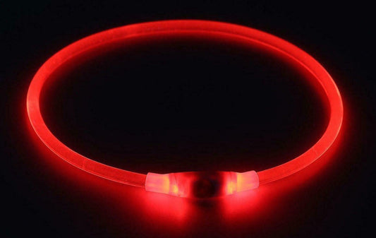 RECHARGEABLE LED PET GLOW COLLAR Night Safety Adjustable Flash Light-Up for Dog