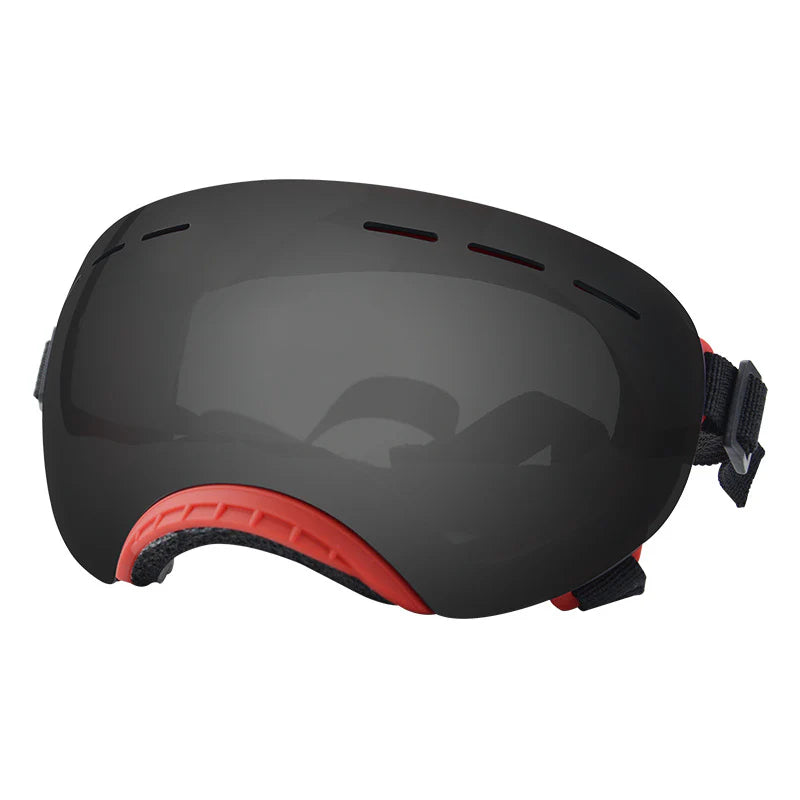 Shielded Pet Wind-Resistant Eyewear